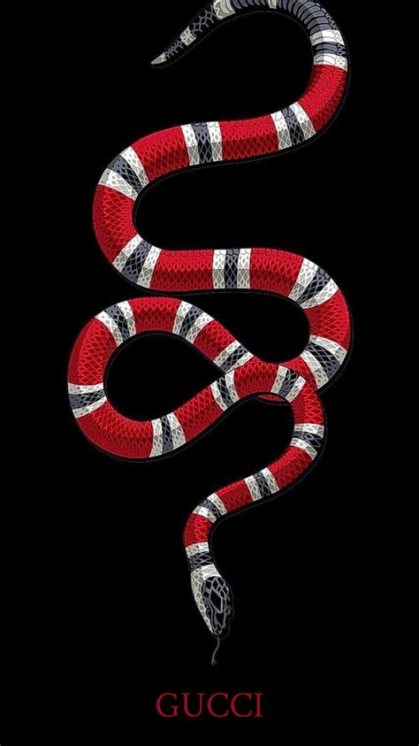 gucci snaje|why does gucci use snake.